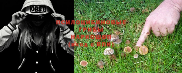 марихуана Каменка