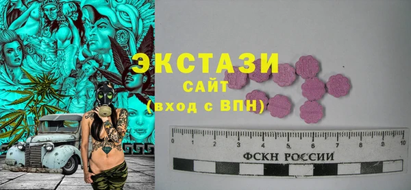 гидра Каменногорск