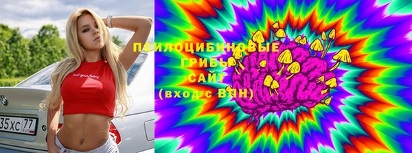 гидра Каменногорск