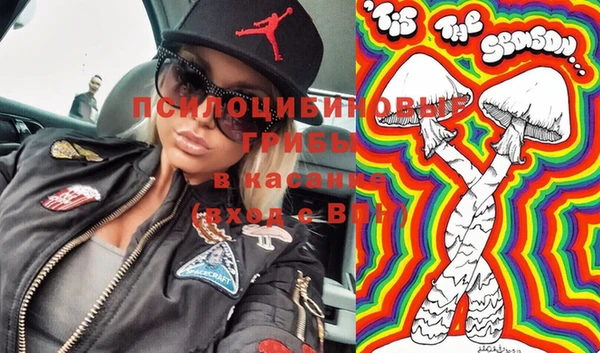 гидра Каменногорск