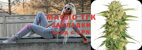 гидра Каменногорск