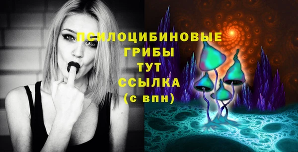 гидра Каменногорск
