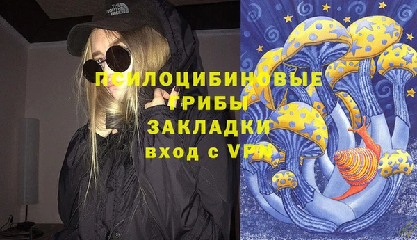 гидра Каменногорск