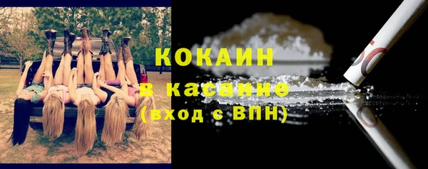 гидра Каменногорск