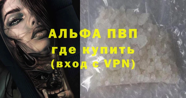 гидра Каменногорск