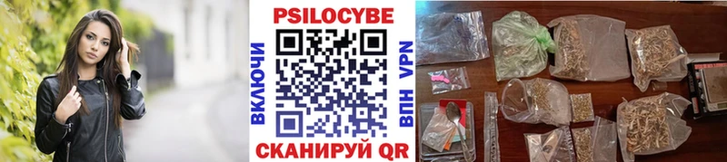 Галлюциногенные грибы Psilocybine cubensis  Арзамас 